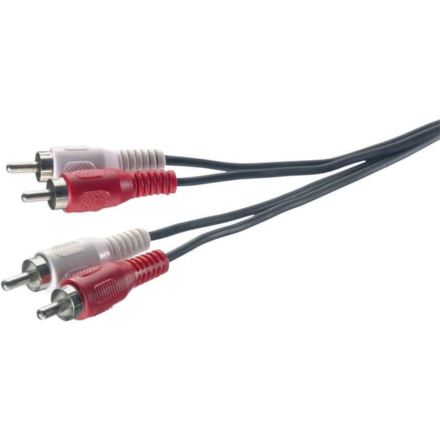 SpeaKa Professional RCA Audio Anslutningskabel [2x