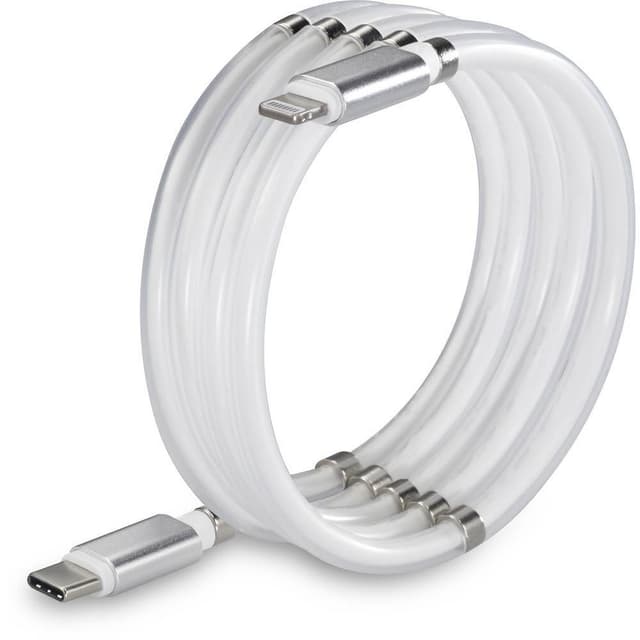 Renkforce TO-6886782 [1x USB 2.0 kontakt C - 1x Apple