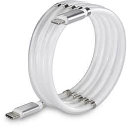 Renkforce TO-6886782 [1x USB 2.0 kontakt C - 1x Apple