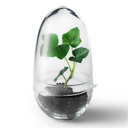 Design House, Grow odlingskupa small