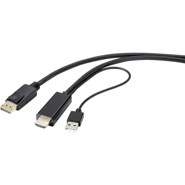 Renkforce HDMI / DisplayPort Cable 1.00 m RF-4600634