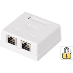 Renkforce Nätverksuttag Utanpåliggande CAT 6 2 Port Vit