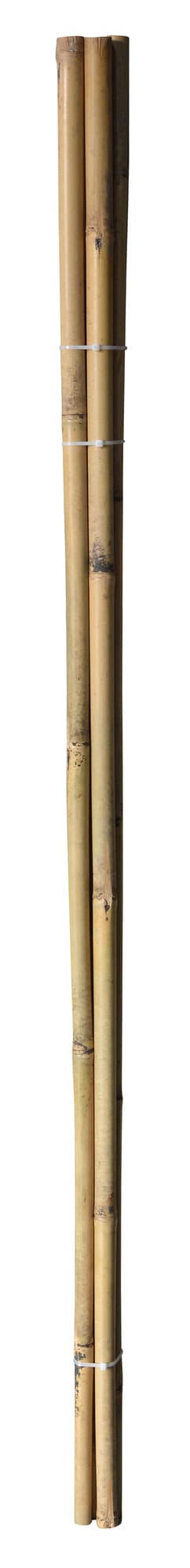 Bambuspinne - 150 cm - Ø25,4 mm - 4 stk.