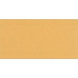 Bosch Accessories EXPERT C470 2608900875