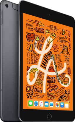 iPad mini (2019) 64 GB WiFi+4G (stellargrå)