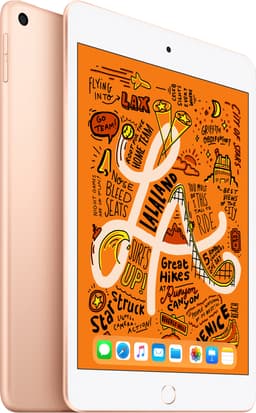 iPad mini (2019) 64 GB WiFi (guld)