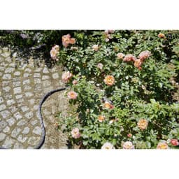 GARDENA 18431-20 Tekstilslange 1 stk
