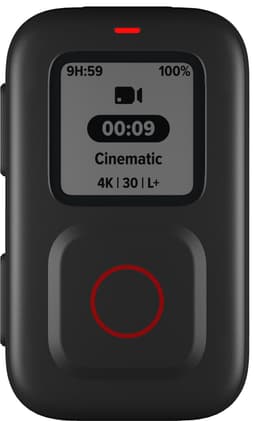 GoPro The Remote control