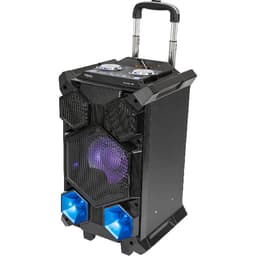 Ibiza Festivalbluetooth-högtalare, 350W