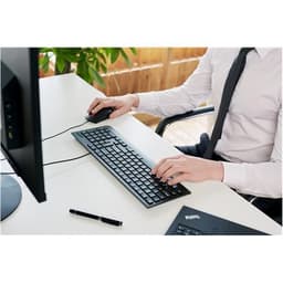 Lenovo tastatur og mus kombinert, kablet, tastaturoppsett engelsk/litauisk, svart