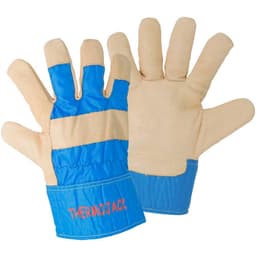 Arbetshandske Storlek (handskar): 11 L+D ThermoJack