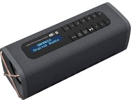 Grundig Band bærbar radio (sort)