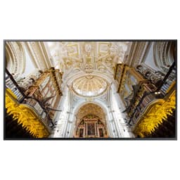 Samsung 65" Smart Infoskærm LH65QMNEBGC