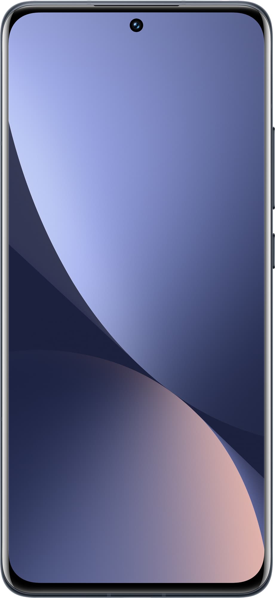 asset