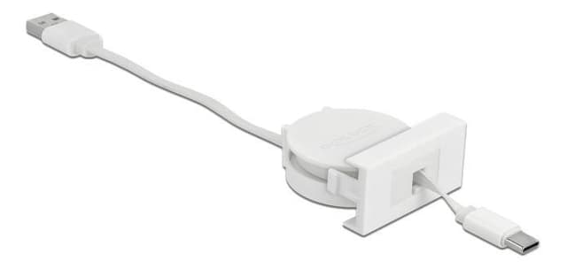 Delock Easy 45 Module USB 2.0 Retractable Cable USB Type-A to USB Type