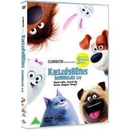 UNIVERSAL S 75DSD8308842 Movie