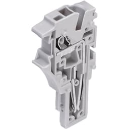 WAGO 2022-181 1-conductor Terminal Module Series 2022 0.25 - 2.5 mm² Grey 1 pc(s)