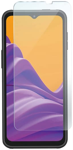 Panzer karkaistu näytönsuoja Samsung Xcover Pro 2