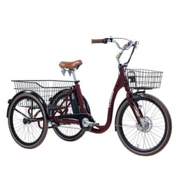 Kolmipyöräinen sähköpyörä EvoBike Elegant