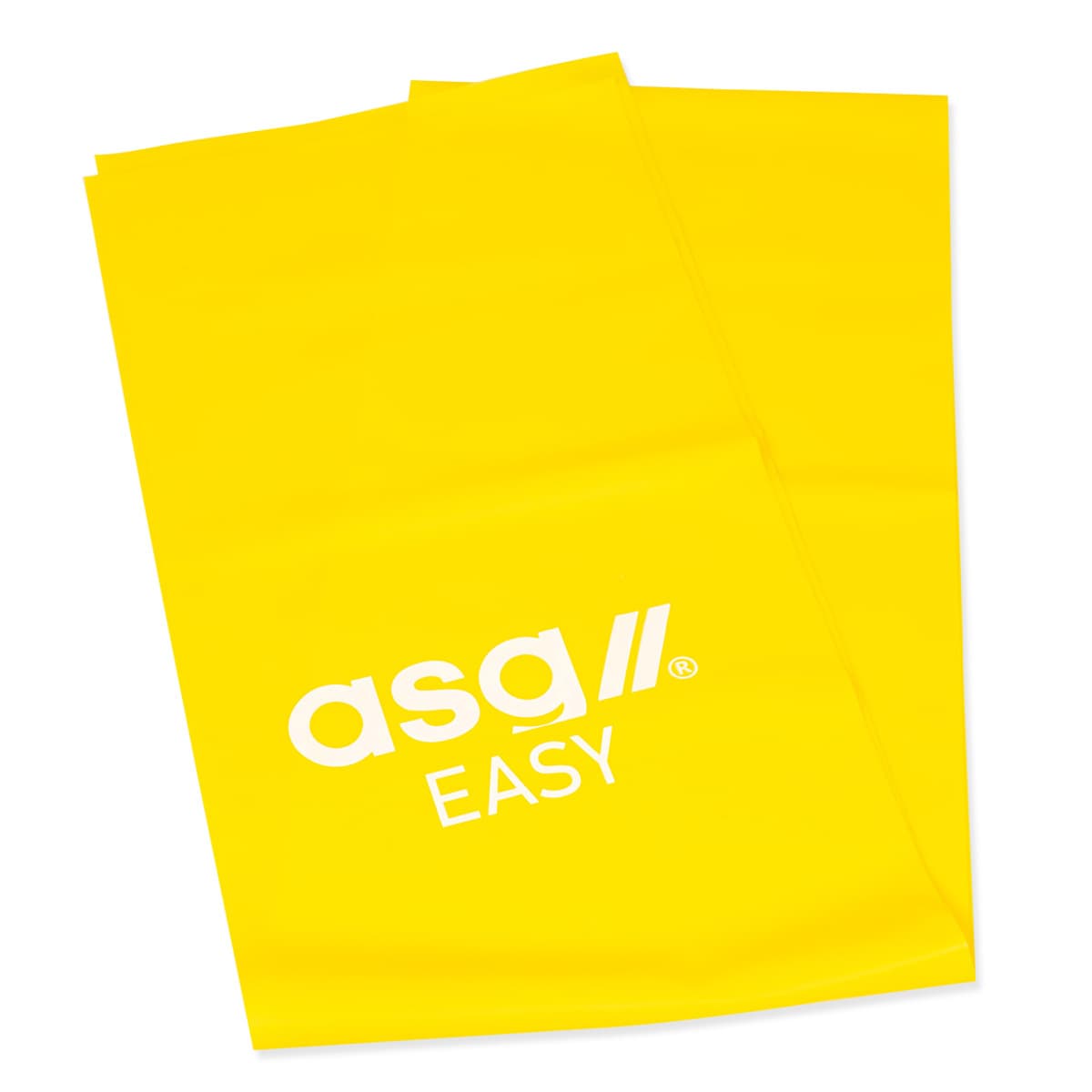 asset