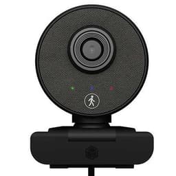 Raidsonic Webcam med mikrofon IB-CAM501-HD Sort