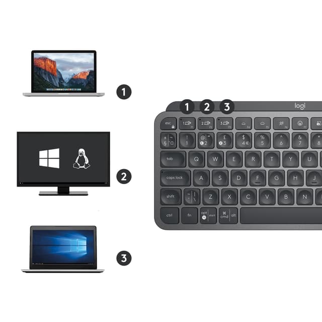 Multi-device, Multi-OS