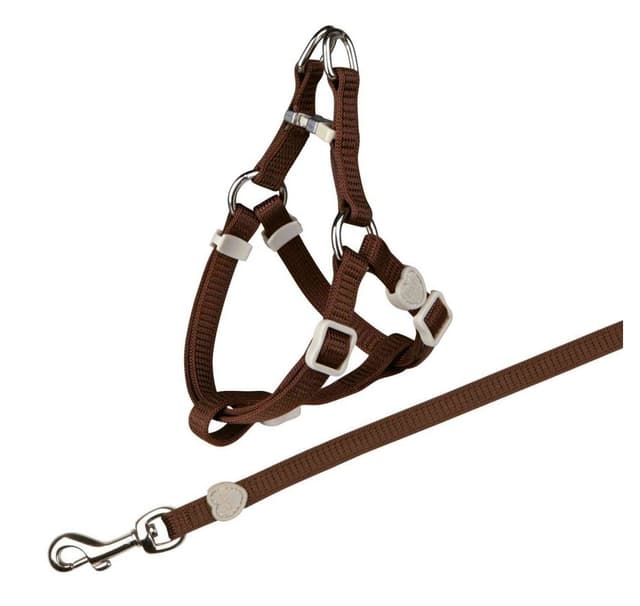Kattsele med koppel, nylon, 26–37 cm/10 mm, 1,20 m