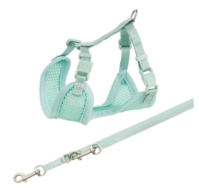 Junior valp mjuk sele med koppel, 26–34 cm/10 mm, 2,00 m