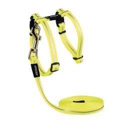 Kattsele med koppel alleycat dayglo 24-40cm/1,8m, Rogz