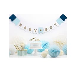 Banner 'Baby Boy' 15cm*160cm