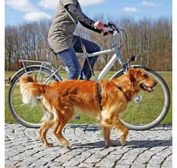 Cykel- og joggingsnor, 1,00–2,00 m/25 mm, sort