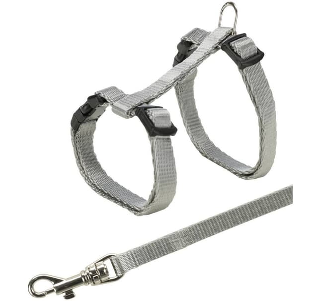 Junior sele för kattungar med koppel, 19–31 cm/8 mm, 1,20 m