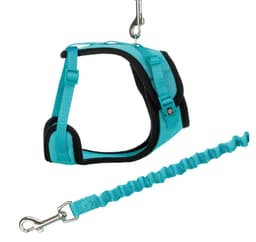 Y-sele, netting, katt, med elastisk bånd, 39–60 cm/10 mm, 1,00 m