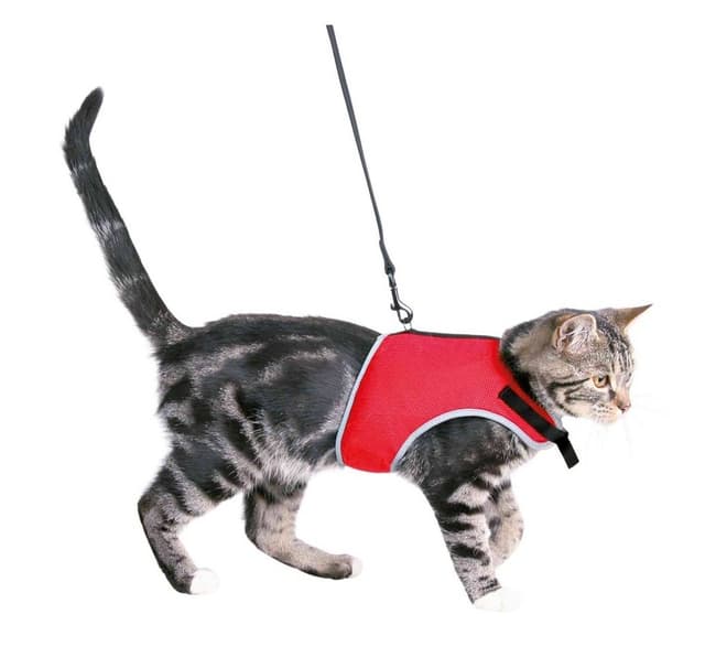 Blød sele med snor til katte, 24–42 cm, 1,20 m