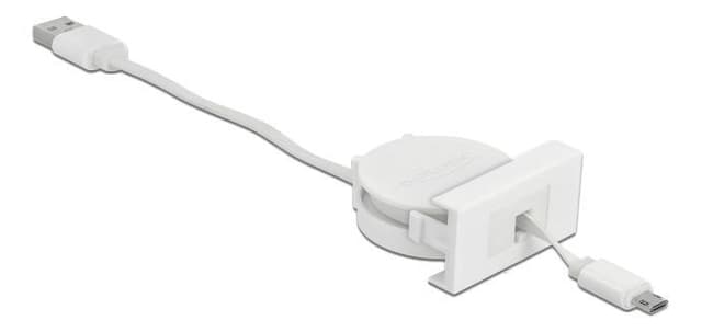 Delock Easy 45 Module USB 2.0 Retractable Cable USB Type-A to EASY-USB