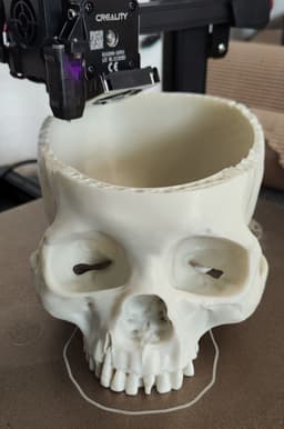3DE MAX - PLA - Bone - 1.75mm - 1kg / Default Title