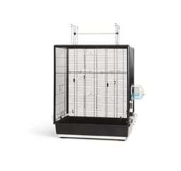 Cage Primo 60 Open Empire 80x50x95cm svart
