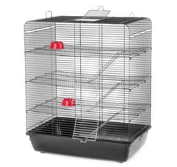 Cage Remy Color G126 58x38x71cm