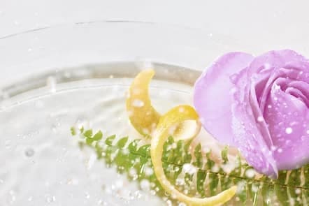 Limited Edition FloralBoost