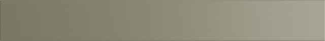 Epoq Canvas Olive lådpanel 100x13