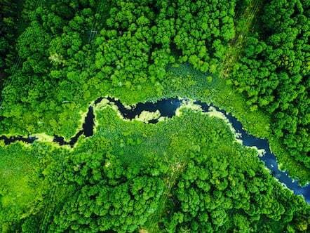 Miele-pesuaineet:tehokkaita, ympäristöystävällisiä