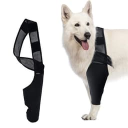 Hundealbueskinne Svart 29 cm