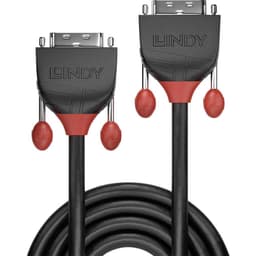 LINDY DVI Anslutningskabel 5.00 m 36258 Svart [1x