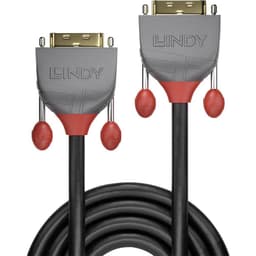 LINDY DVI Anslutningskabel 1.00 m 36221 Svart [1x
