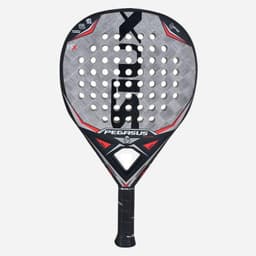 Siux Pegasus Silver Graphene, Padelracket
