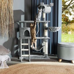 Klorestativ katt Marcel 141cm - grå