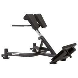 Master Fitness Master Royal Hyper Extension Bench