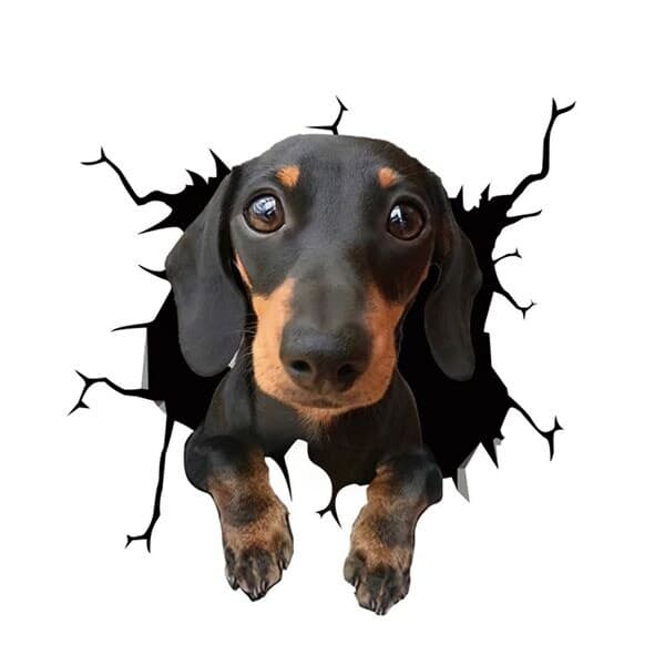Bildekal - Hund med en söt blick