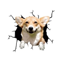 Bildekal - Hund, Morsomt Klistremerke til Bilvindu, Selvklebende PVC