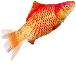 Interaktiv katteleker med plaskende fisk i oransje